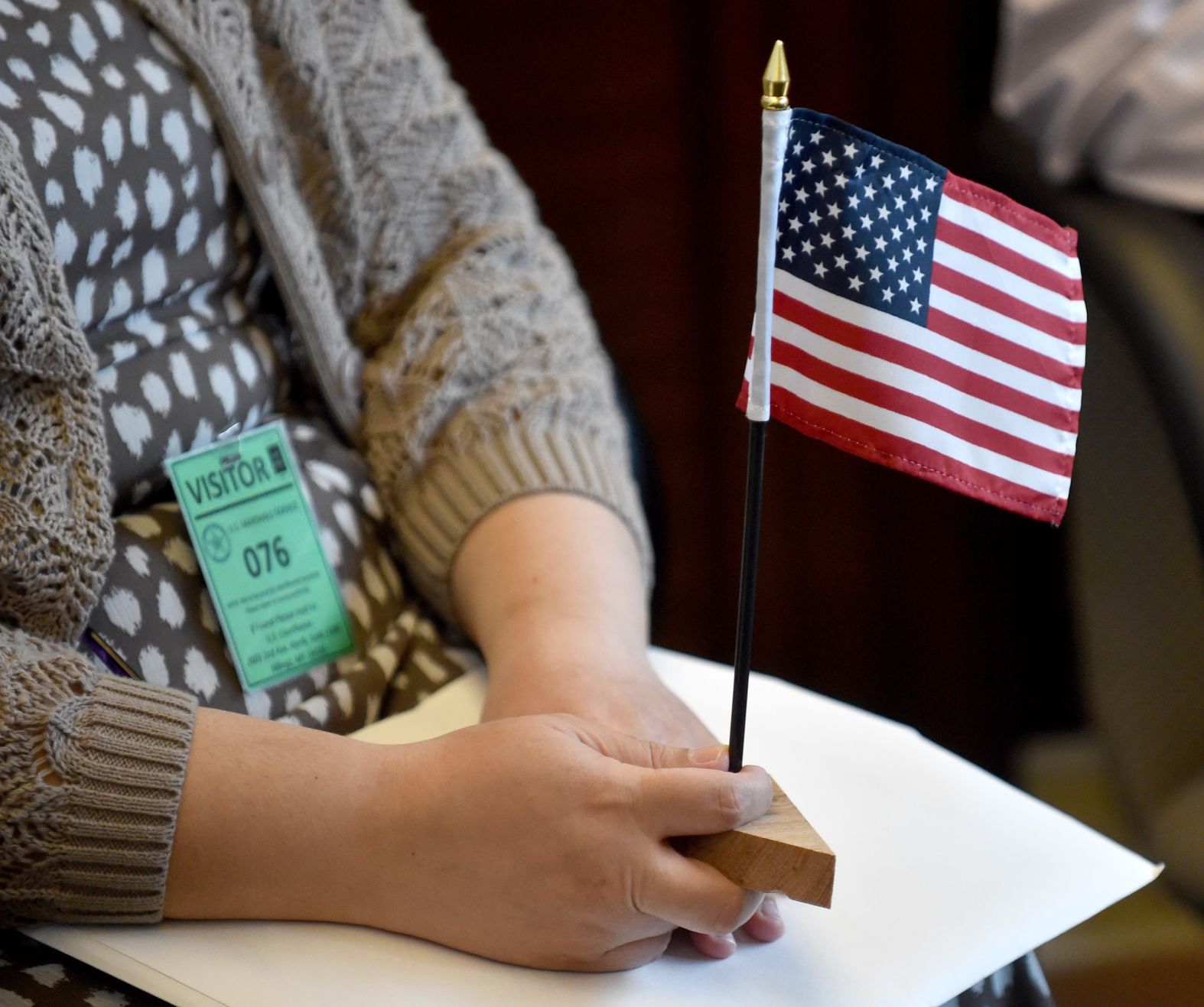 Mini American flag